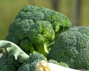 Broccoli met sinaasappeldressing 4 Broccoli met sinasappel